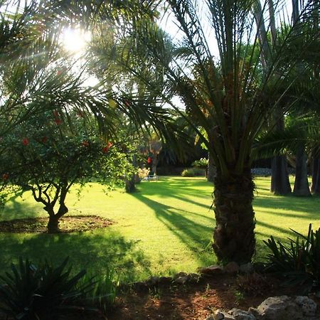 Finca Hotel Predio Son Serra Can Picafort  Exterior photo